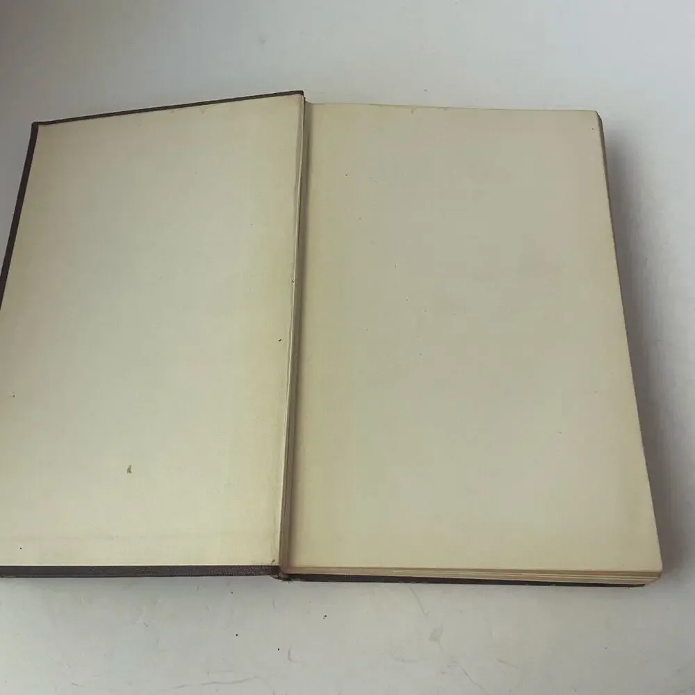 The Children's Classics Heidi John C Winston Collectible USA 1924 Antique